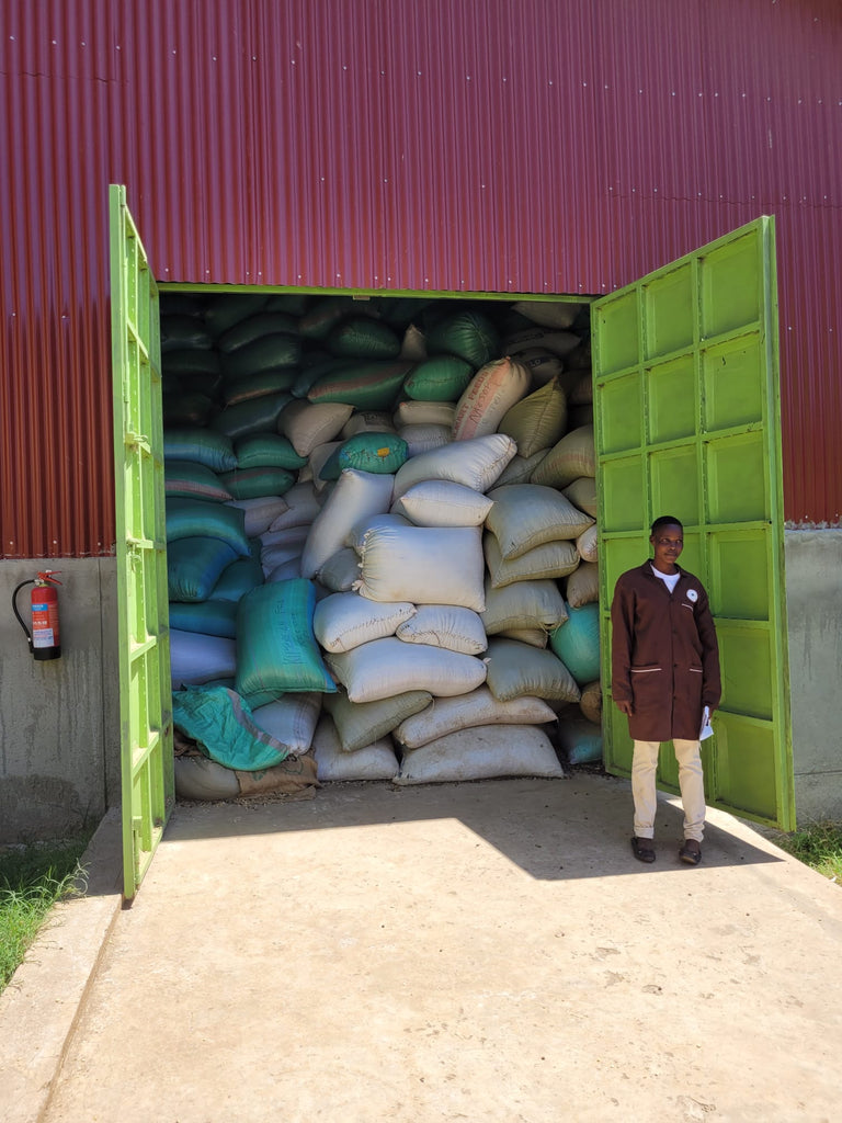 Picture shows a man standing outside the open doors of an industrial building which is stacked floor to ceiling with sacks of coffee.