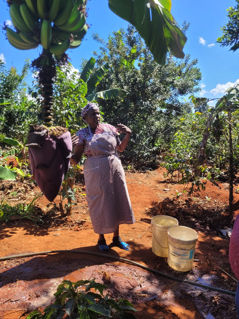 Meet coffee farmer Faith