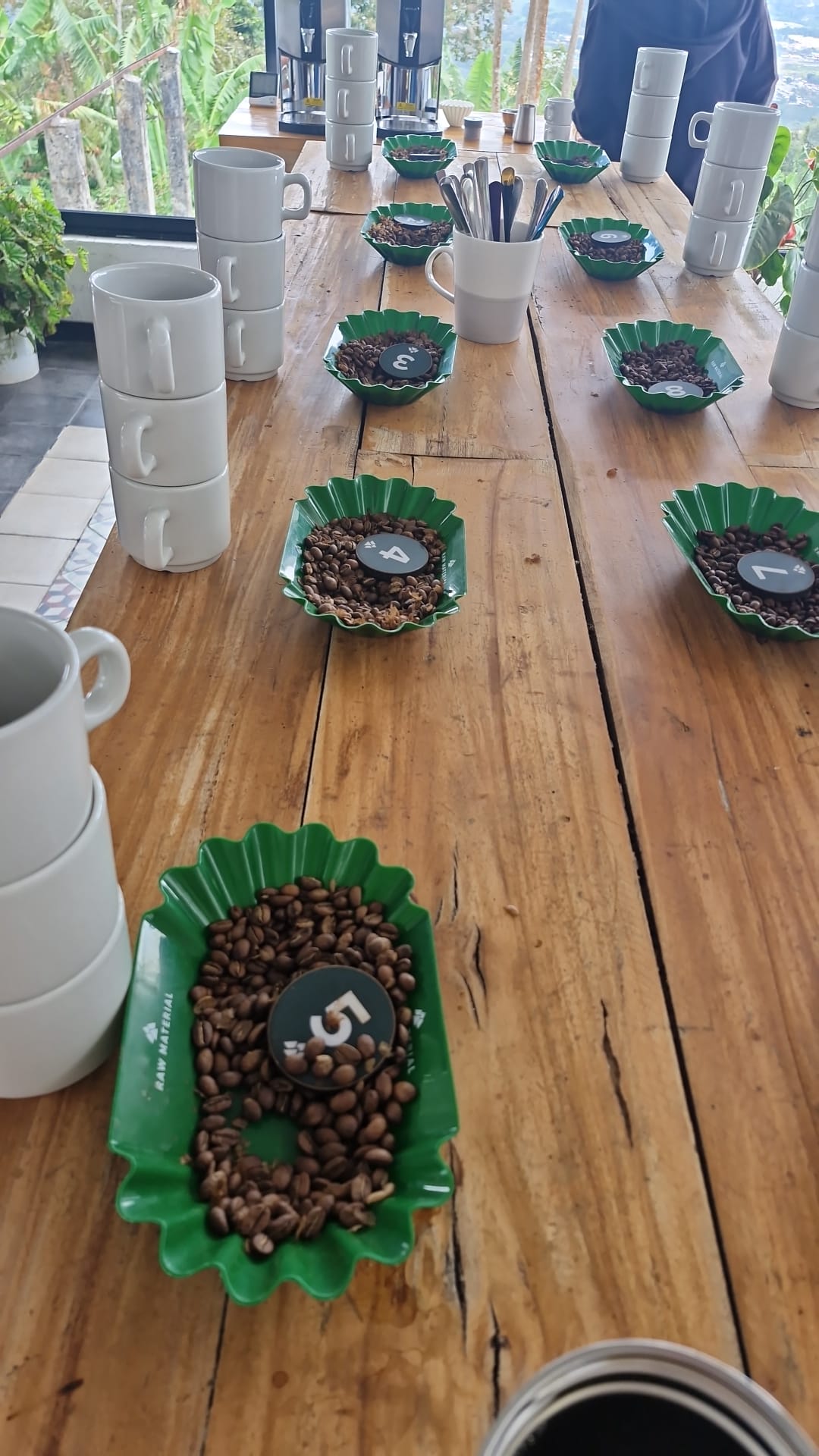 Coffee Tasting Session 14/11/26