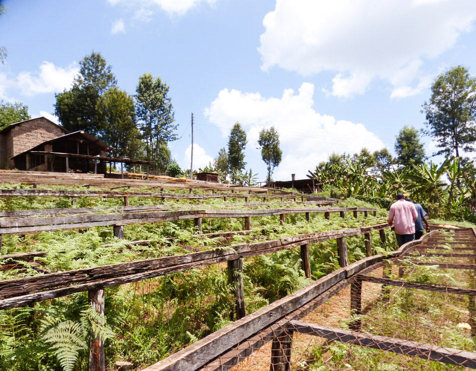 The Christmas Foundry Blend
