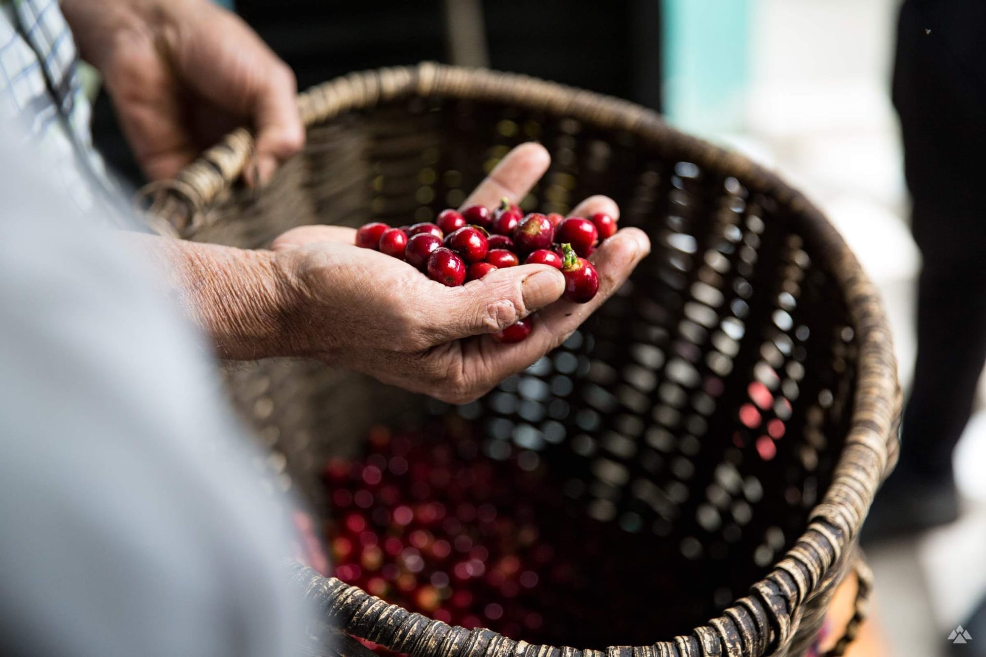 Colombia - Villamaria Decaf