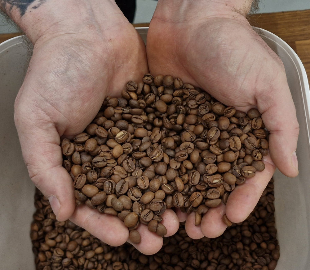 Shilon Caffe Shiloh Coffee Roasters