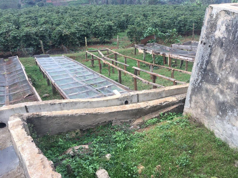 Kenya - Thangaini