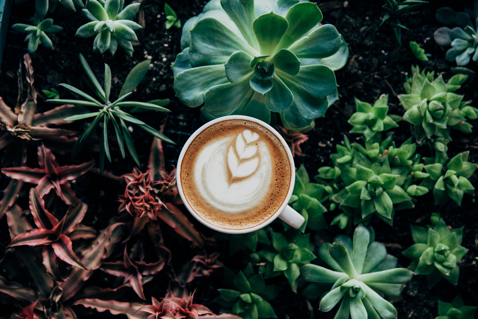 The Mills Blend
